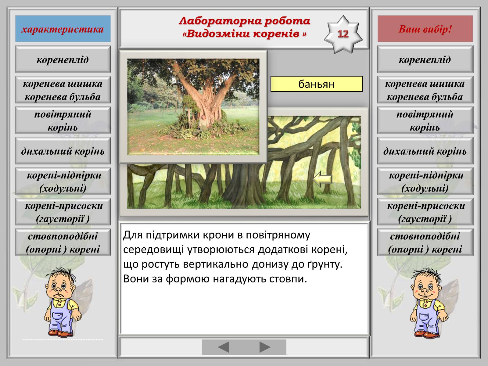 Презентація на тему «Видозміна коренів» - Слайд #14