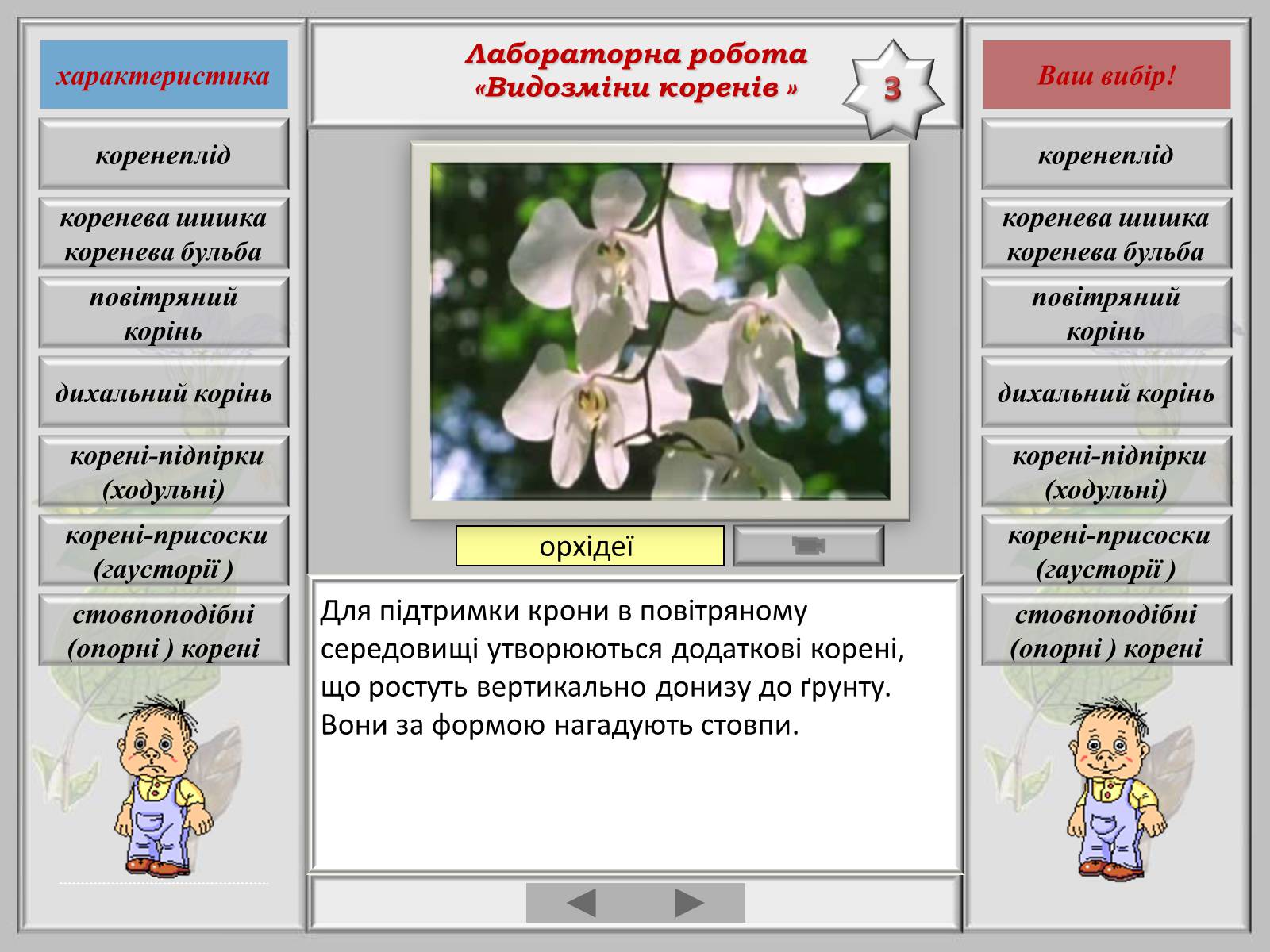 Презентація на тему «Видозміна коренів» - Слайд #5