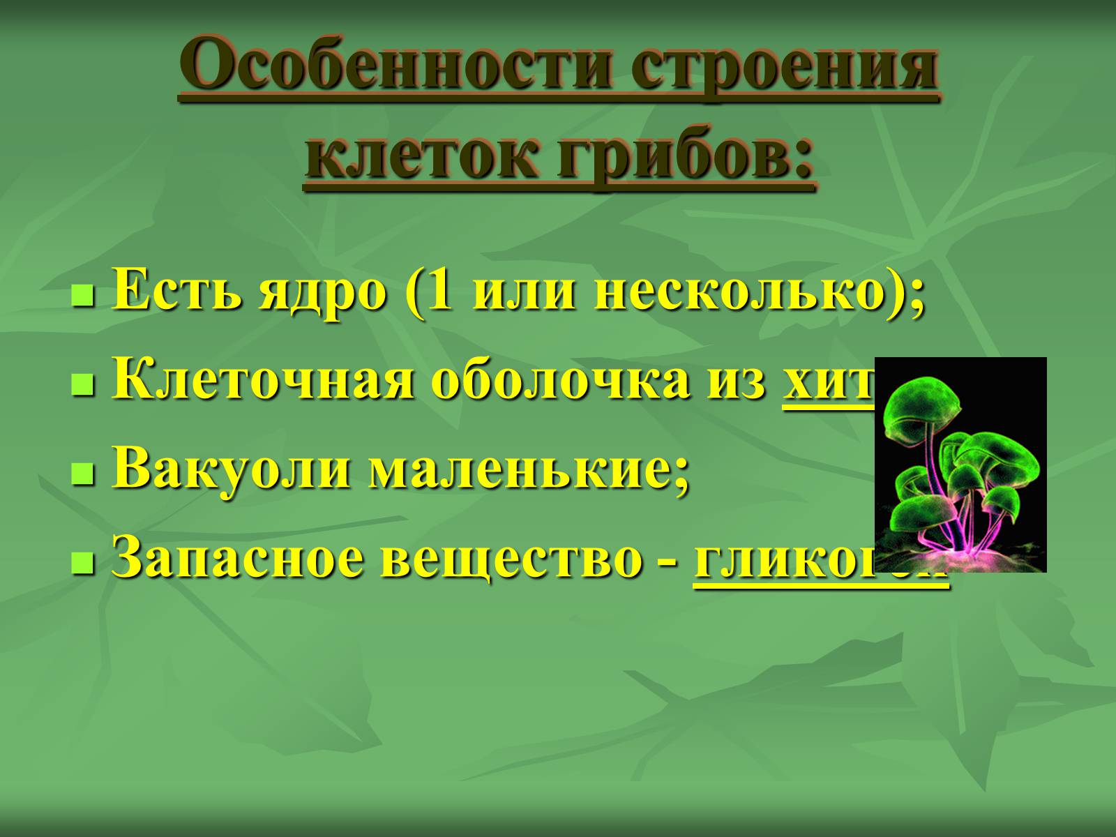 Презентація на тему «Царство Грибы» (варіант 3) - Слайд #3