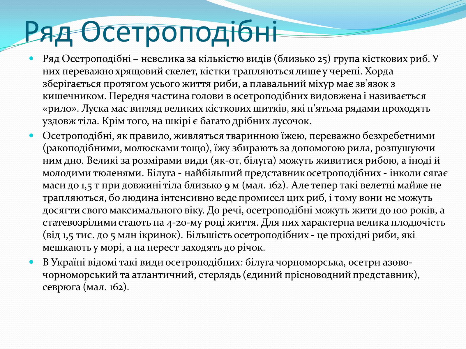 Презентація на тему «Різноманітність кісткових риб» (варіант 2) - Слайд #2