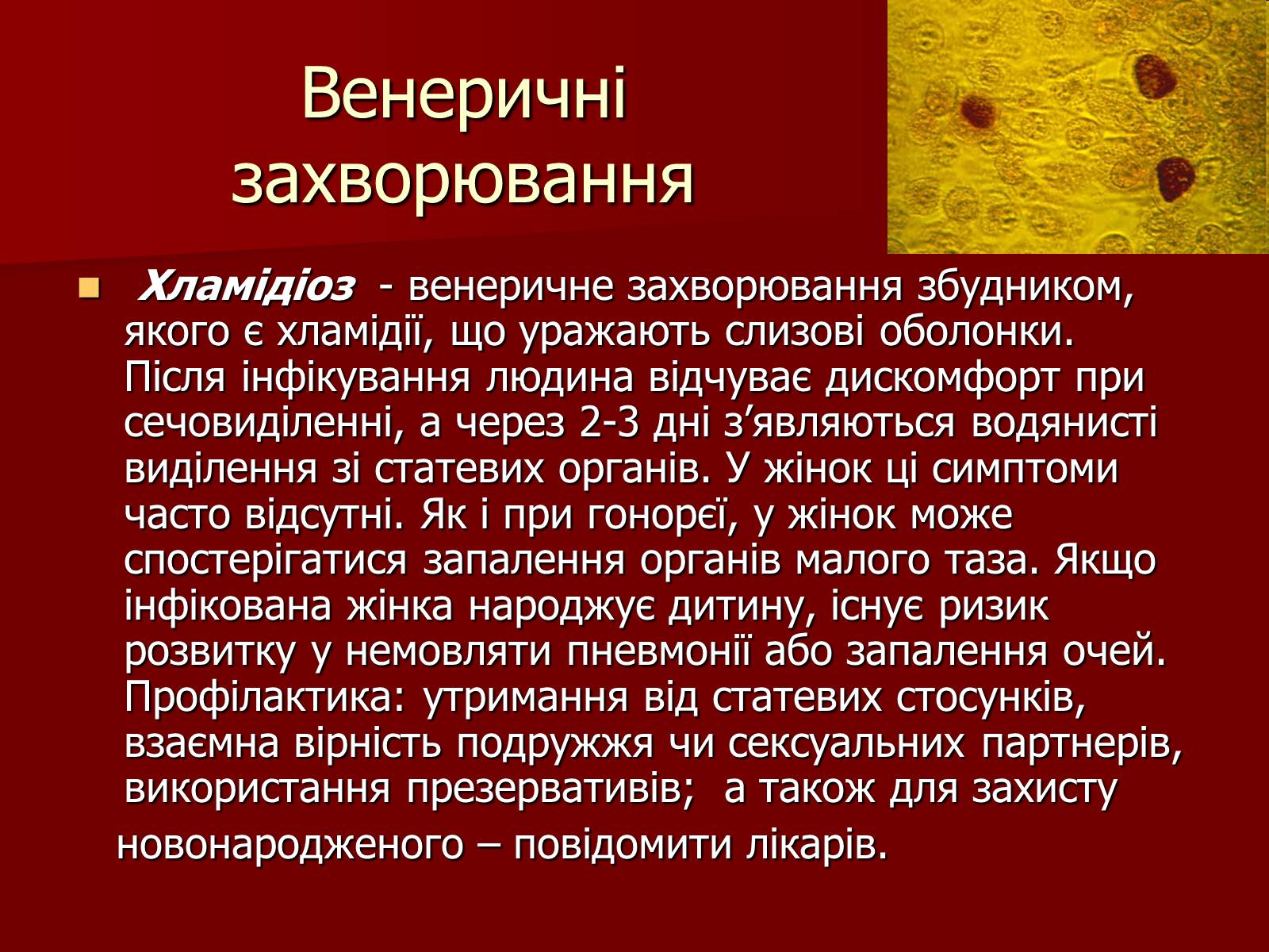 Презентація на тему «Ознаки фізіологічної та соціальної зрілості» - Слайд #14