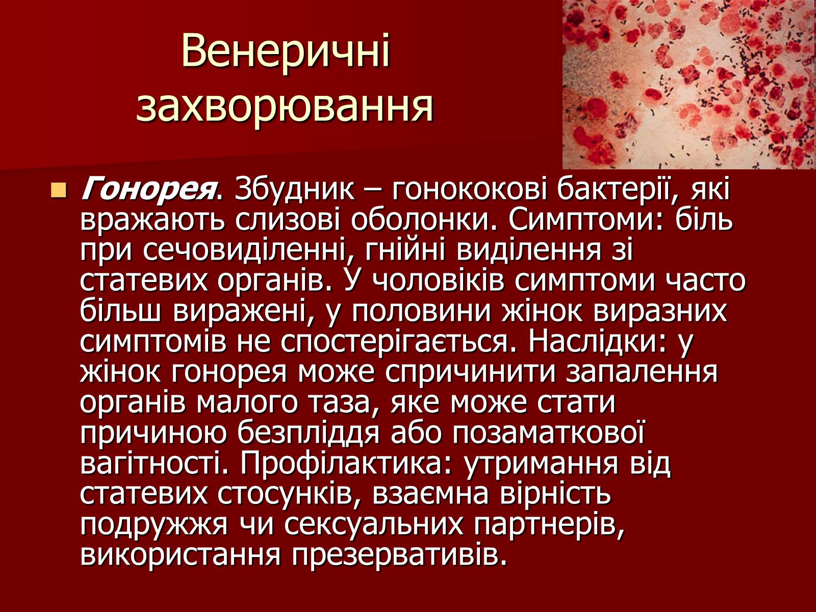 Презентація на тему «Ознаки фізіологічної та соціальної зрілості» - Слайд #17