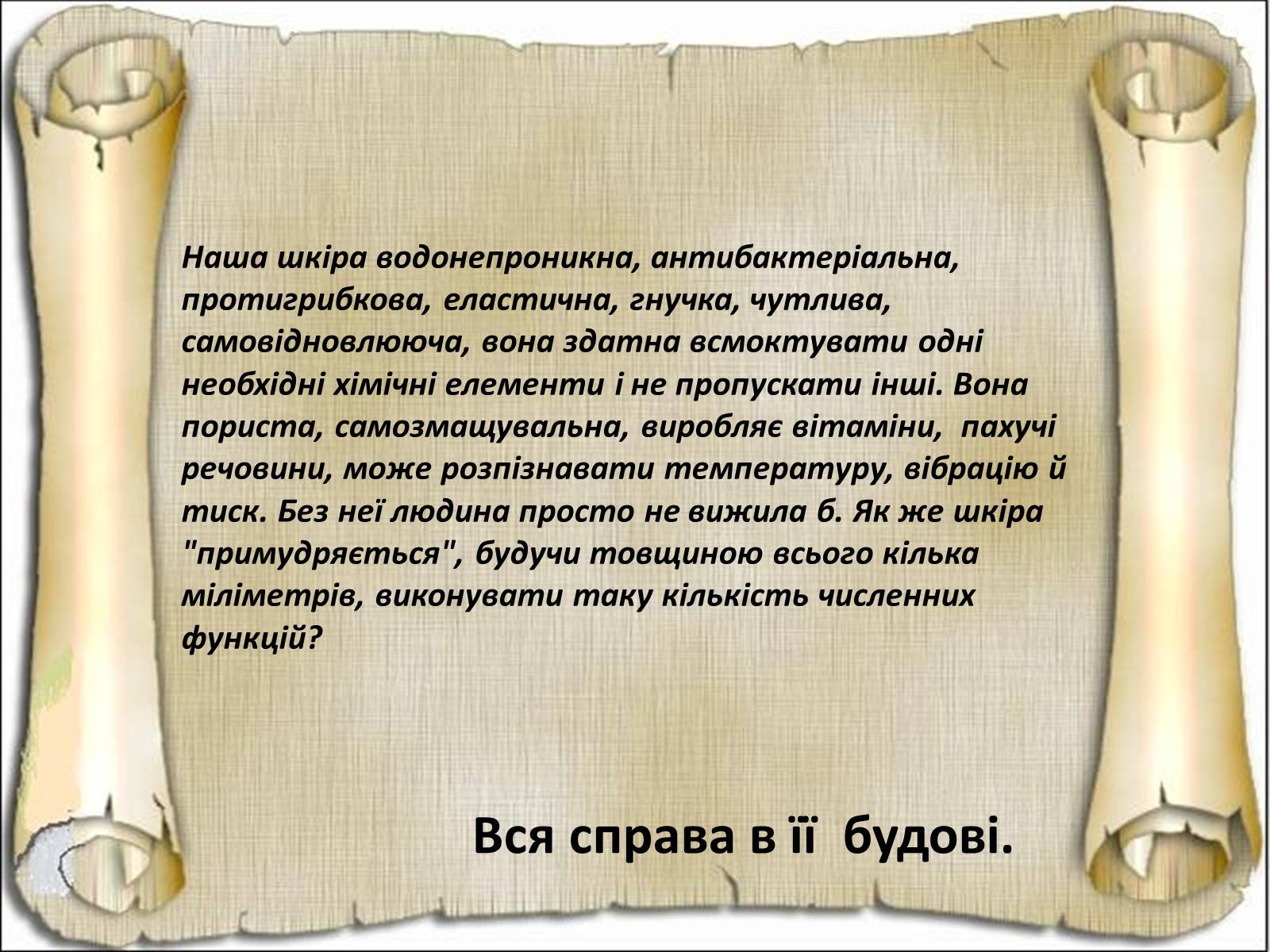 Презентація на тему «Будова і функції шкіри» - Слайд #6