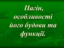 Презентація на тему «Пагін»