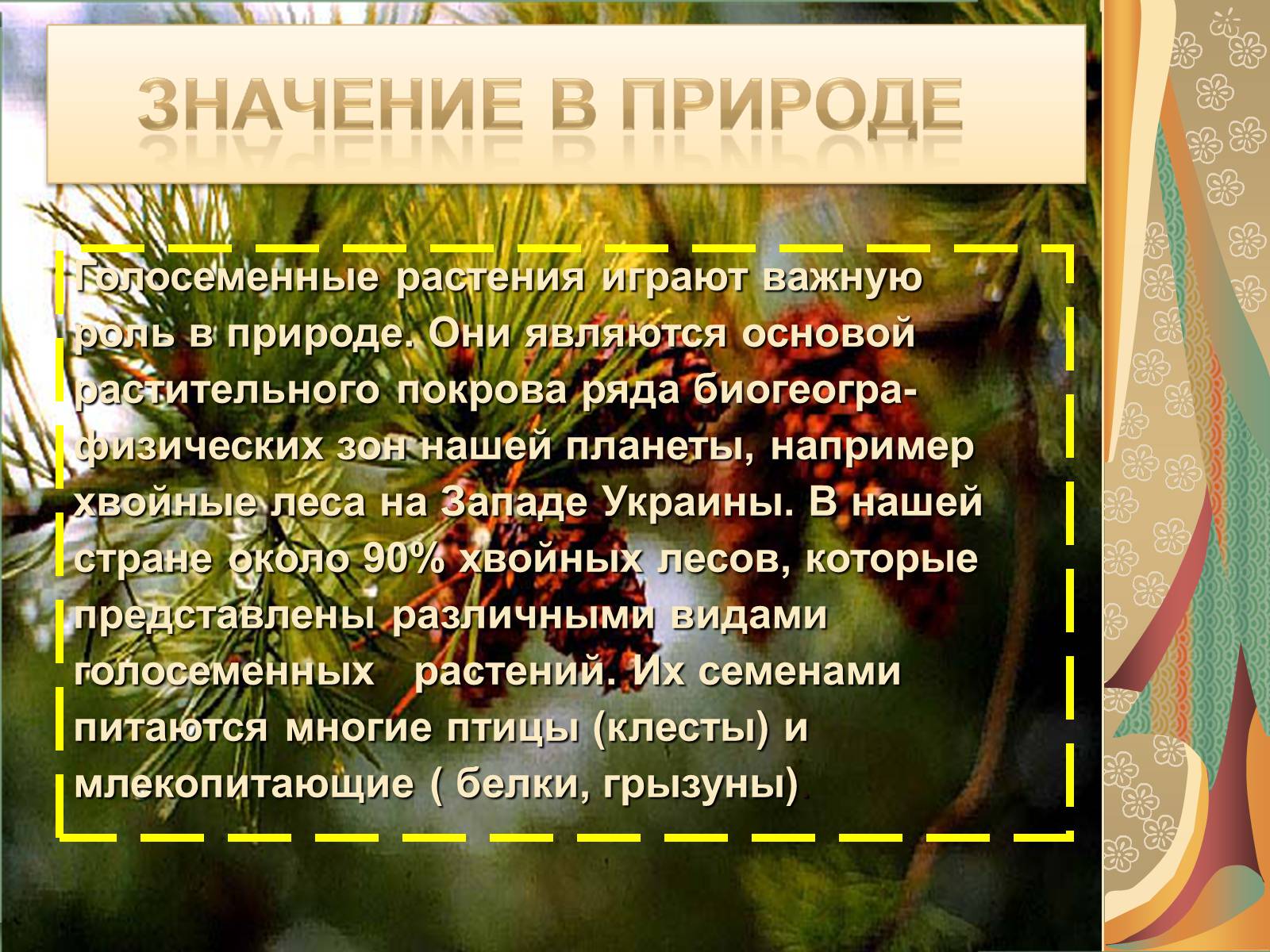 Презентація на тему «Значение голосеменных в природе» - Слайд #2