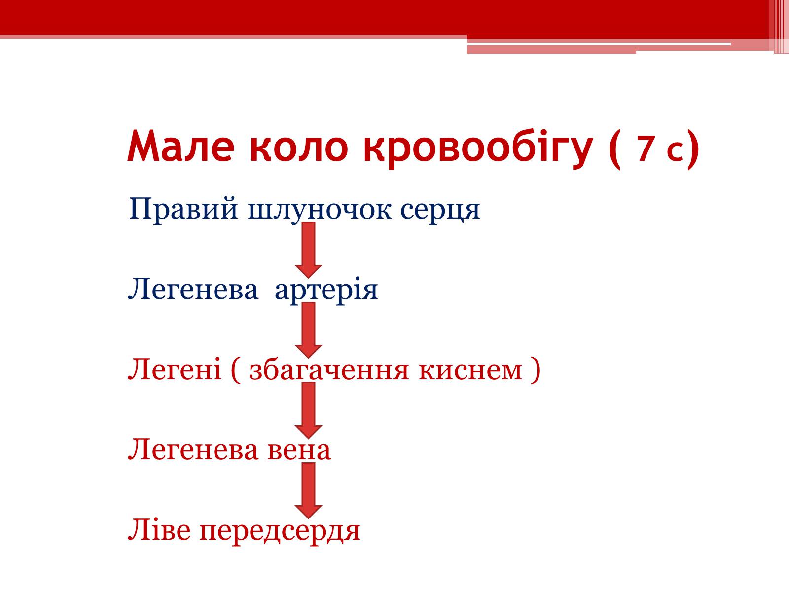 Презентація на тему «Кровообіг. Функції серця» - Слайд #4