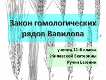 Презентація на тему «Закон гомологических рядов Вавилова»