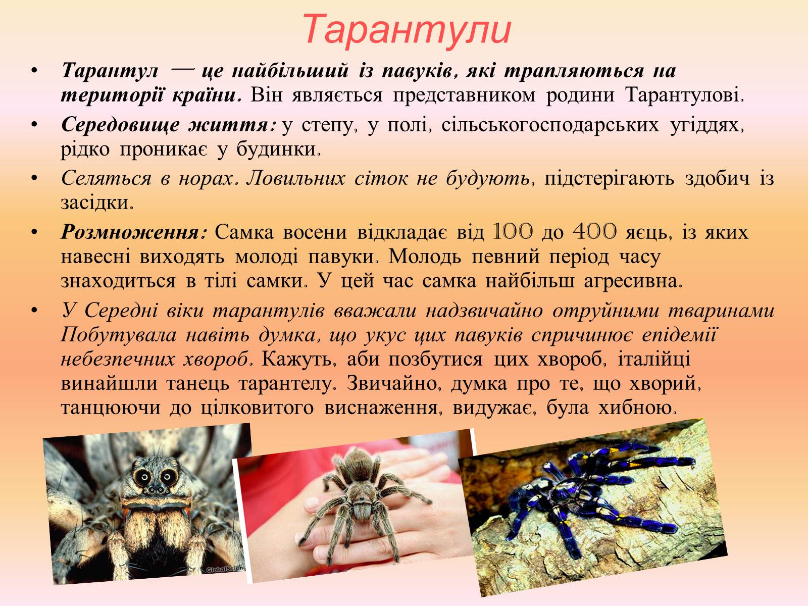 Презентація на тему «Різноманітність павукоподібних» - Слайд #2