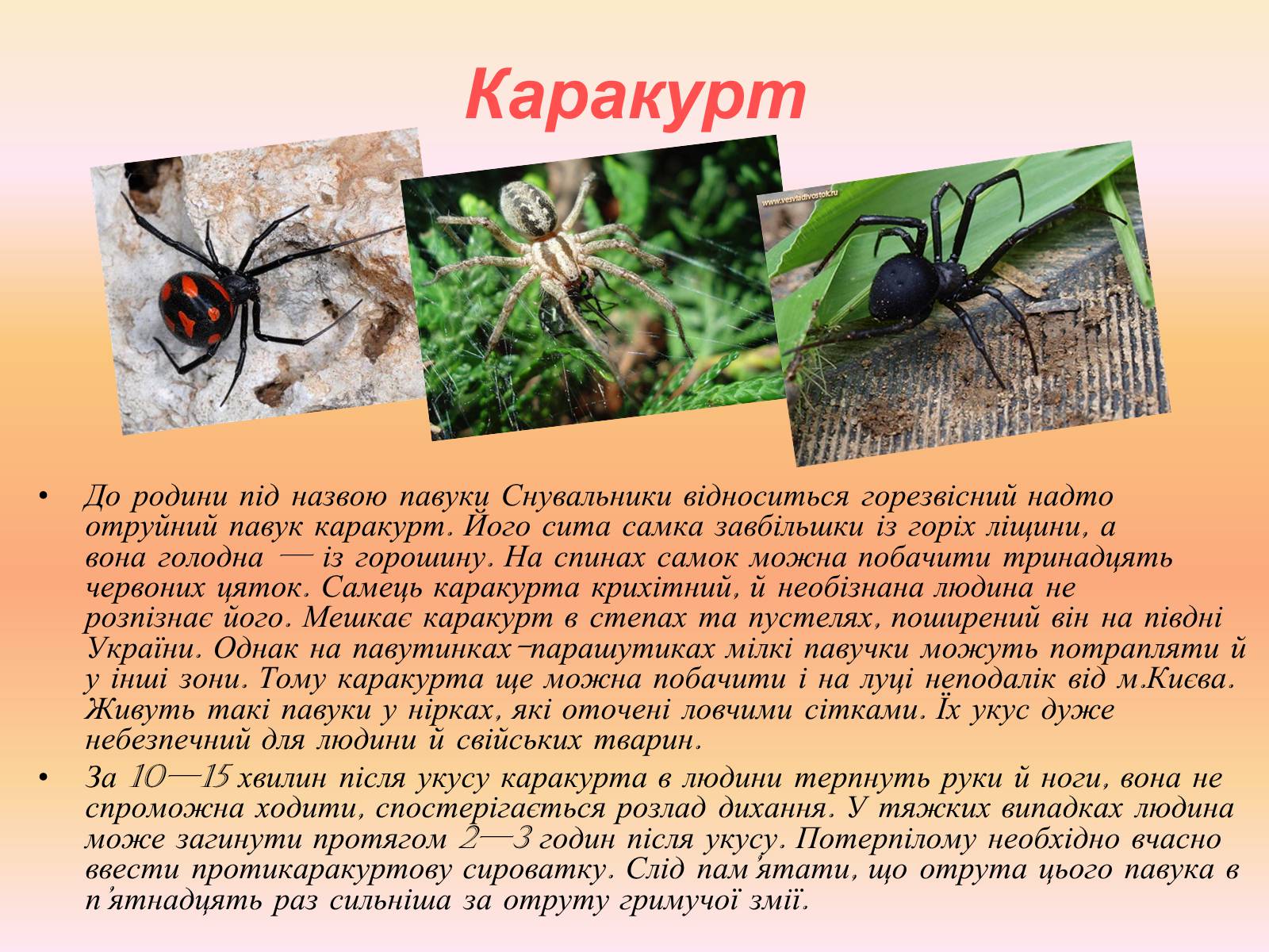 Презентація на тему «Різноманітність павукоподібних» - Слайд #3