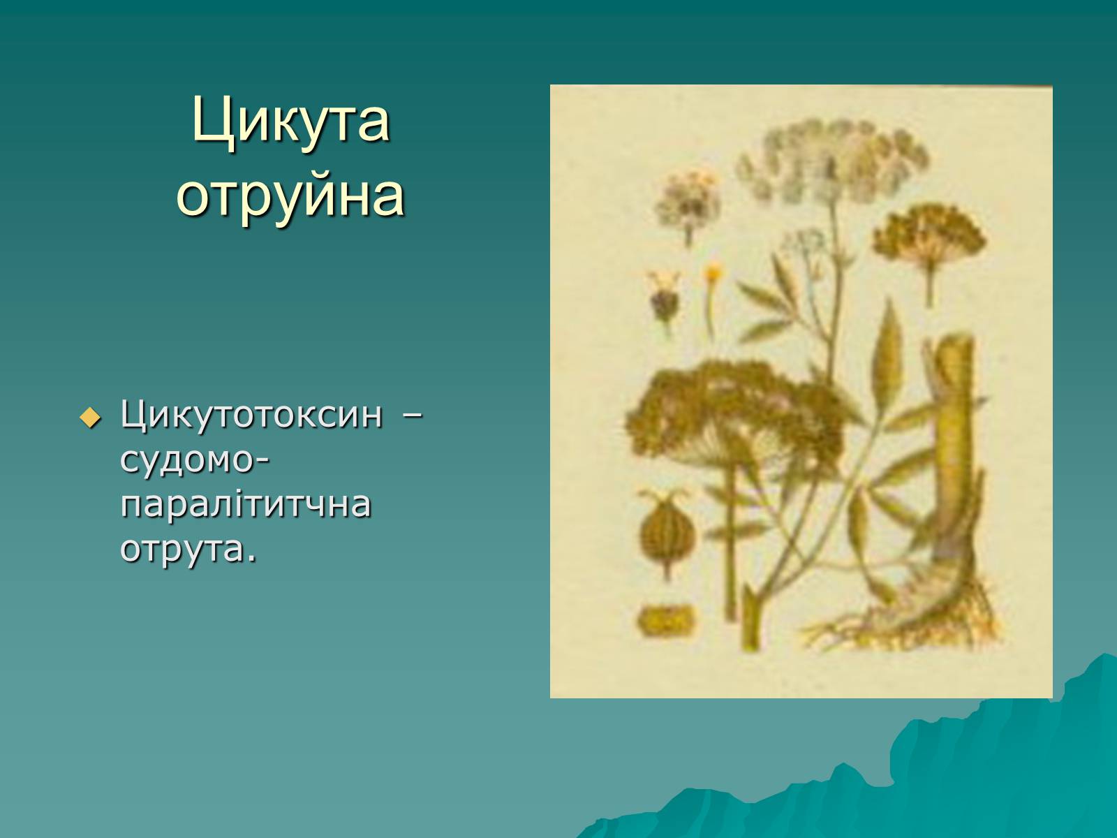 Презентація на тему «Харчові отруєння» - Слайд #21