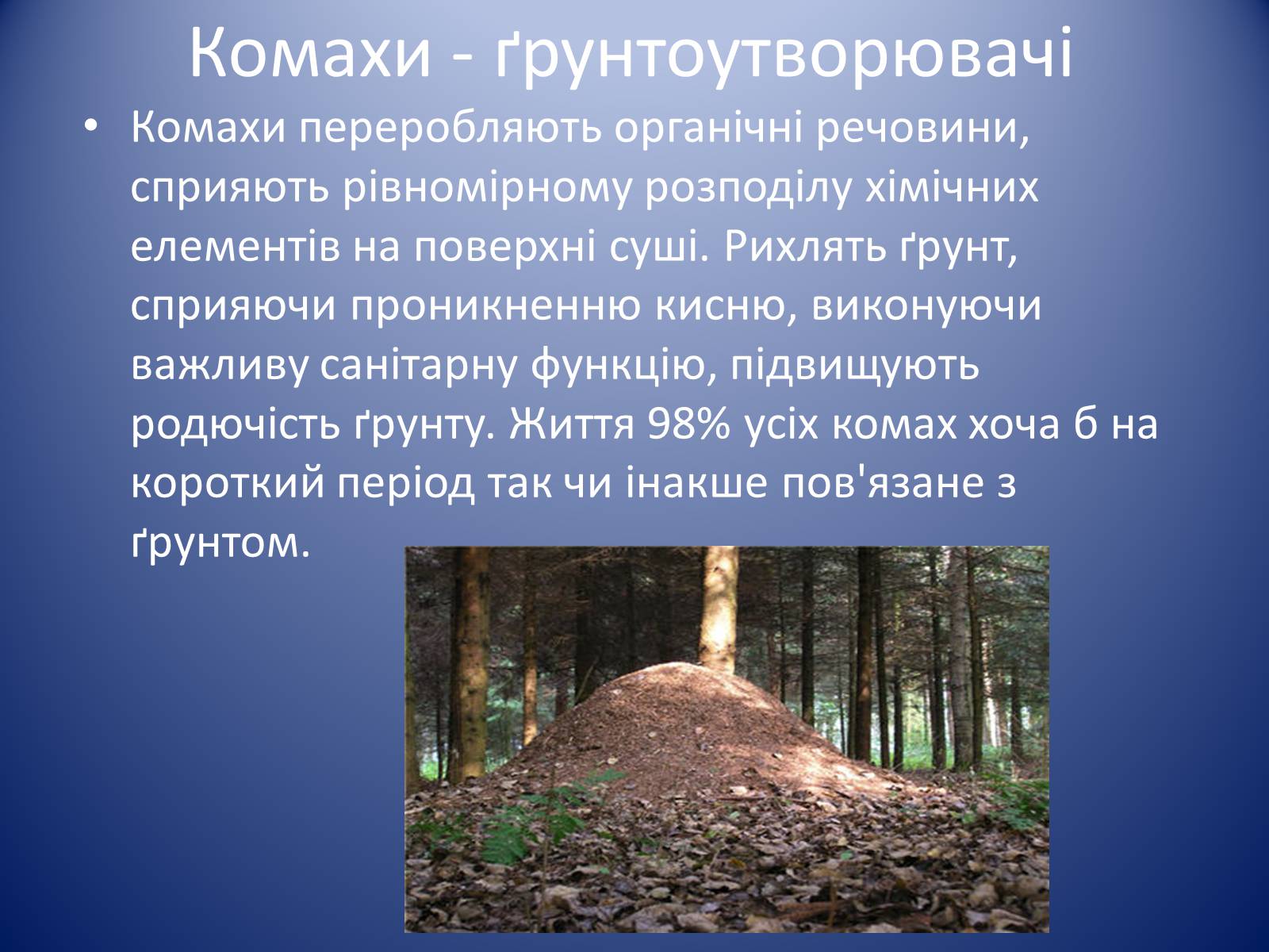 Презентація на тему «Значення комах в природі та житті людини» - Слайд #9