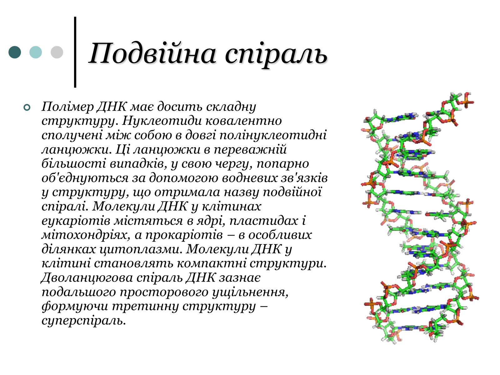 Презентація на тему «Будова, властивості та функції ДНК» - Слайд #3