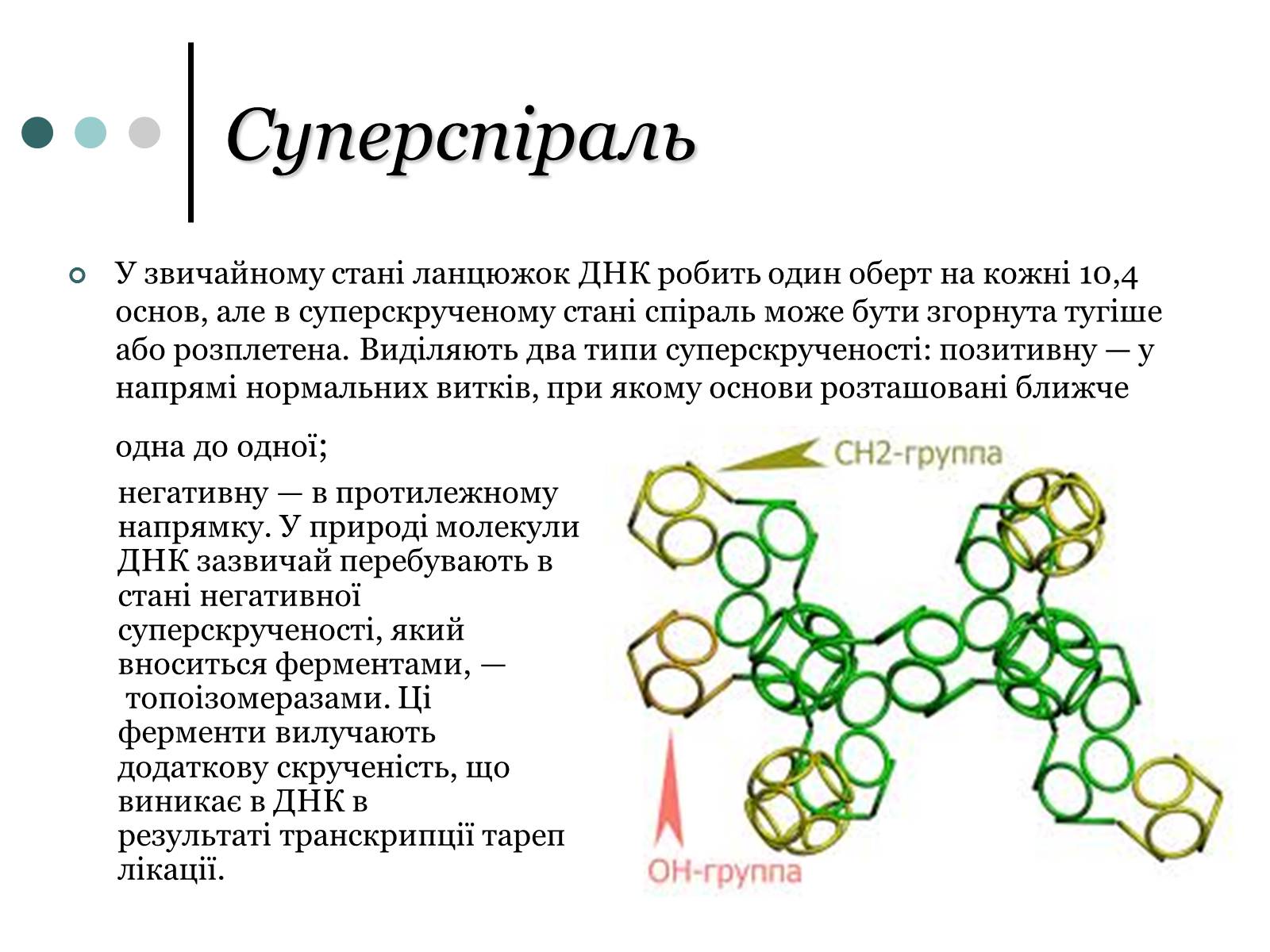 Презентація на тему «Будова, властивості та функції ДНК» - Слайд #4