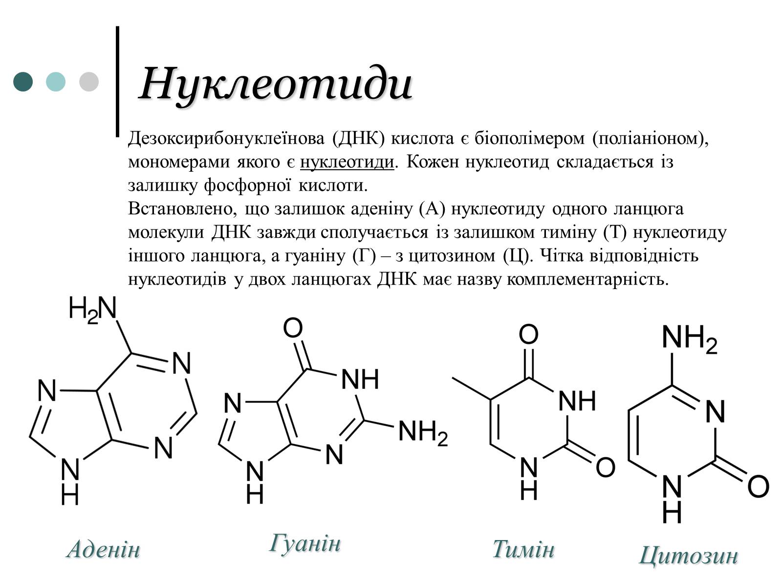 Презентація на тему «Будова, властивості та функції ДНК» - Слайд #5