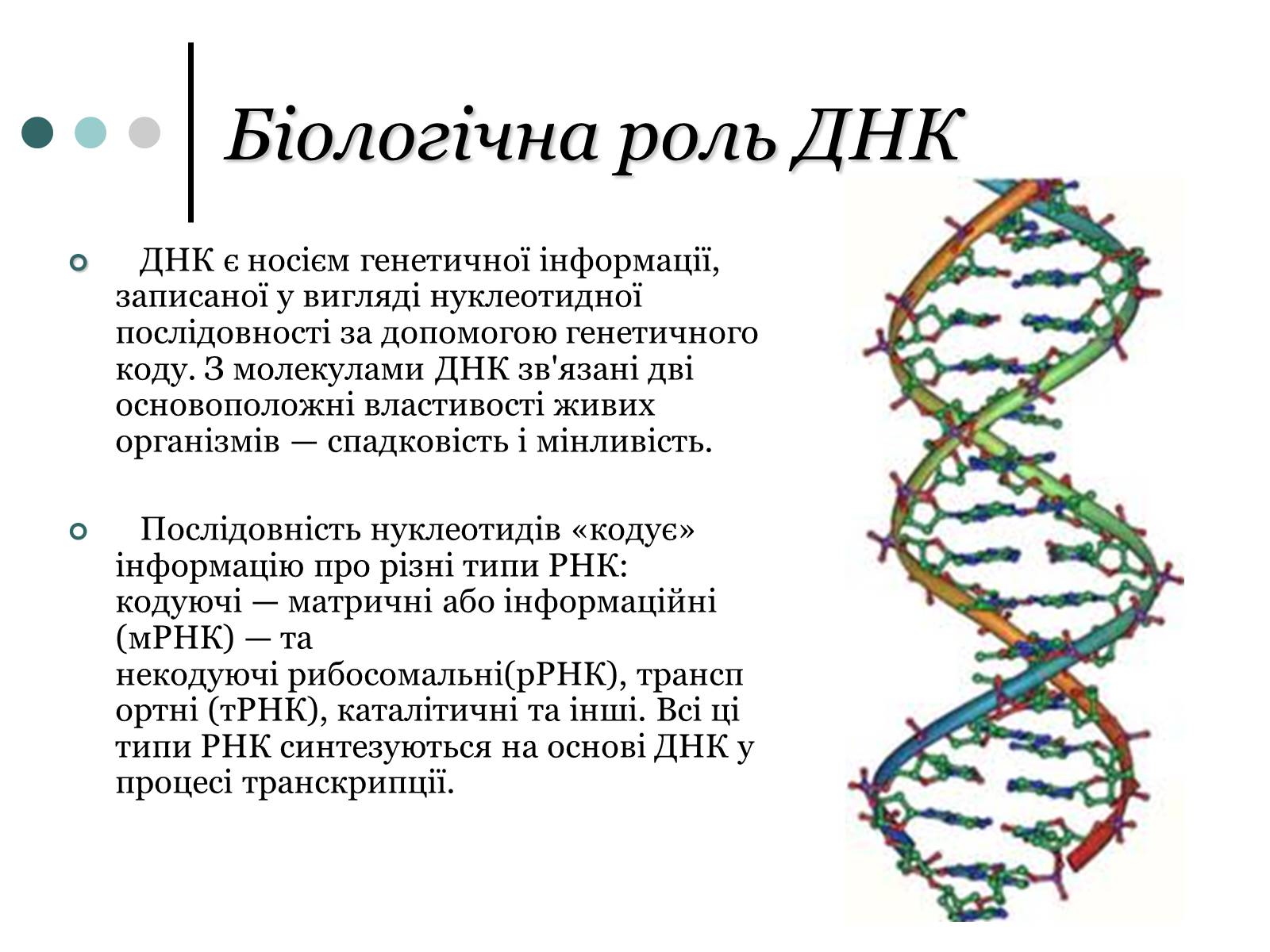 Презентація на тему «Будова, властивості та функції ДНК» - Слайд #8