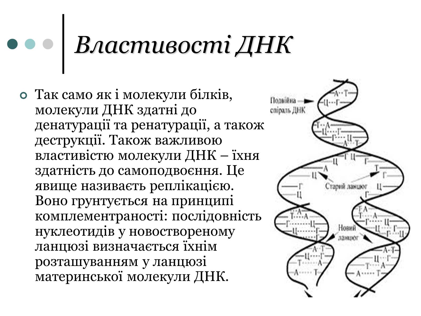 Презентація на тему «Будова, властивості та функції ДНК» - Слайд #9