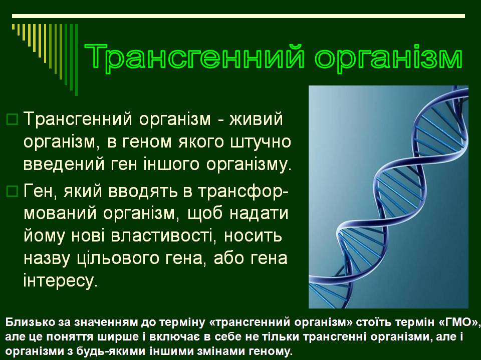 Презентація на тему «Трансгенні організми» (варіант 8) - Слайд #2