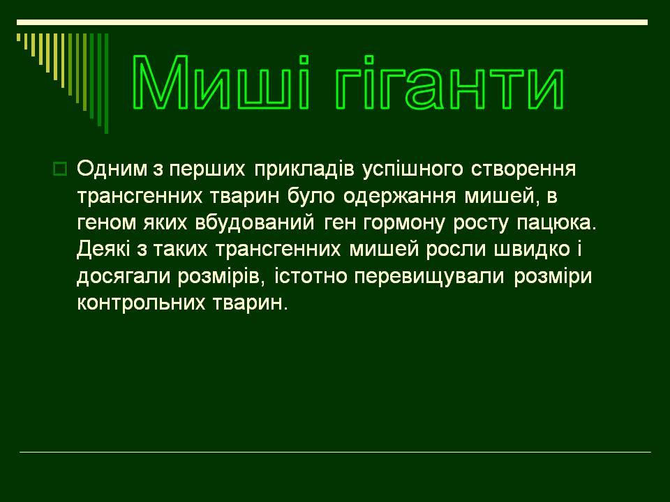 Презентація на тему «Трансгенні організми» (варіант 8) - Слайд #7