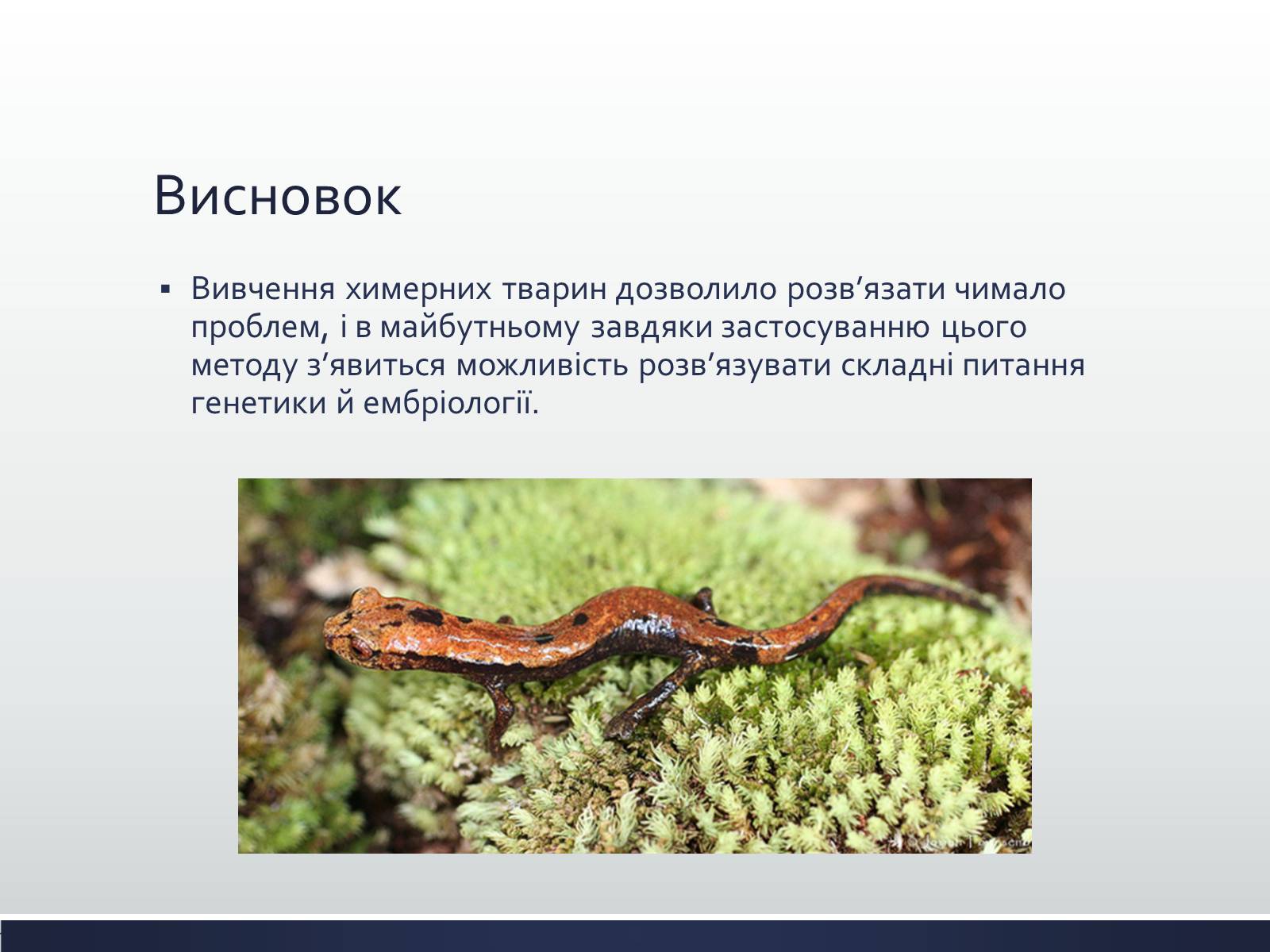 Презентація на тему «Химерні та трансгенні організми» (варіант 1) - Слайд #6