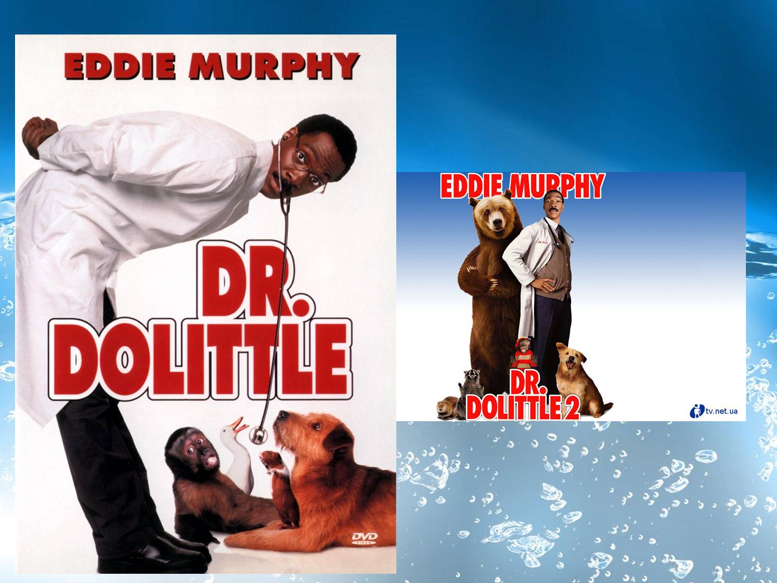 Презентація на тему «Eddie Murphy» - Слайд #8