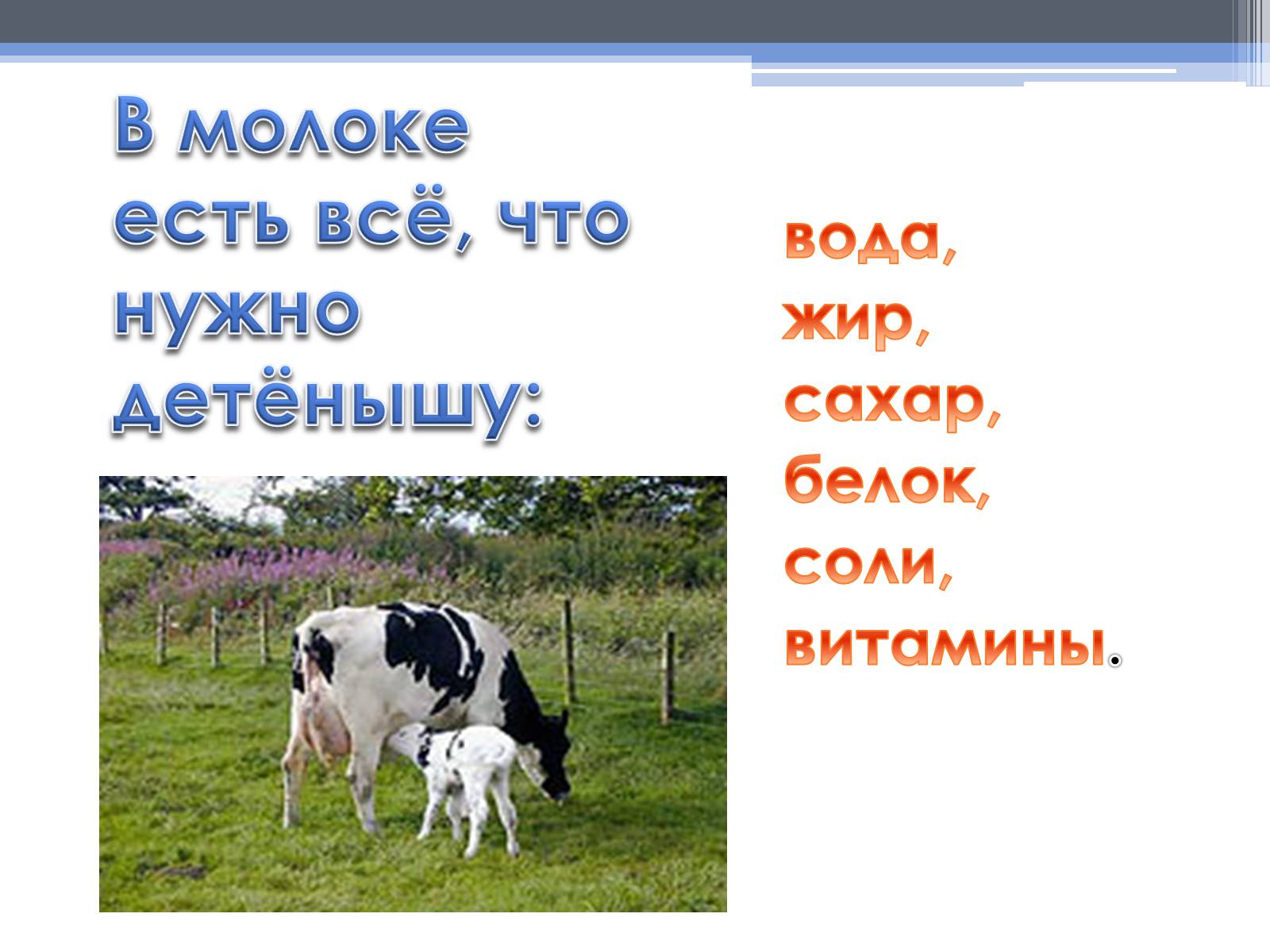 Молока больше чем надо. Проект почему скисает молоко 4 класс. Тема проекта по окружающему миру 4 класс почему скисает молоко. Почему скисает молоко текст. Анкетирование на тему почему скисает молоко.