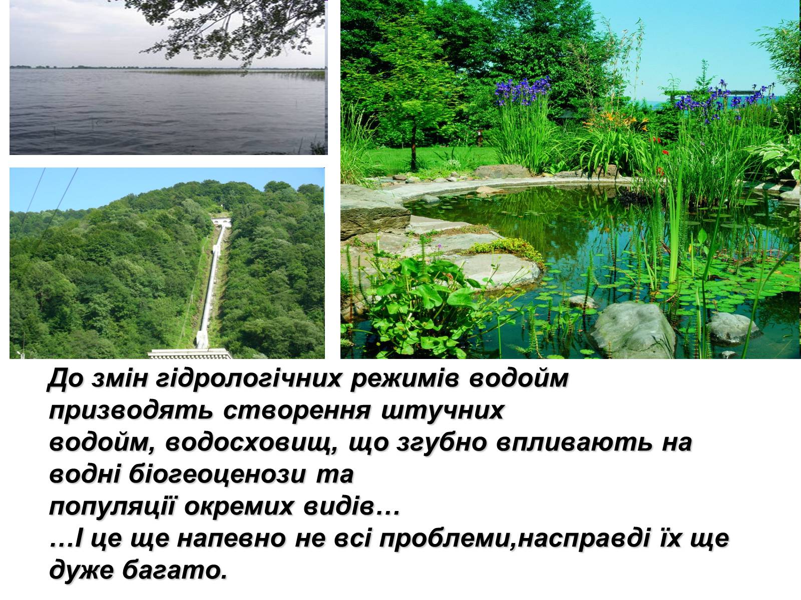 Презентація на тему «Вплив діяльності людини на стан біосфери» (варіант 1) - Слайд #7