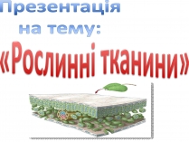 Презентація на тему «Рослинні тканини» (варіант 1)