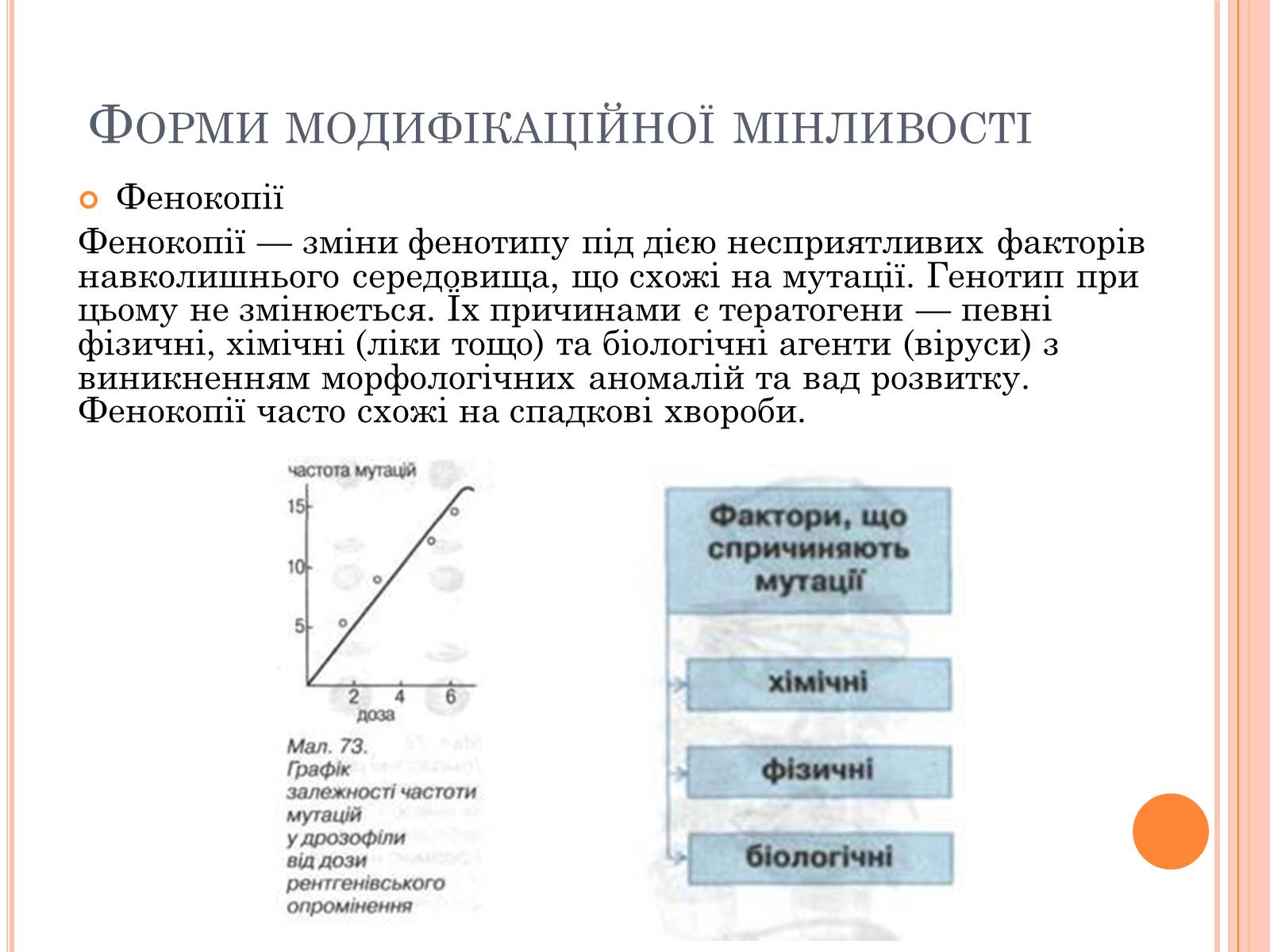 Презентація на тему «Модефікаційна мінливість» - Слайд #12