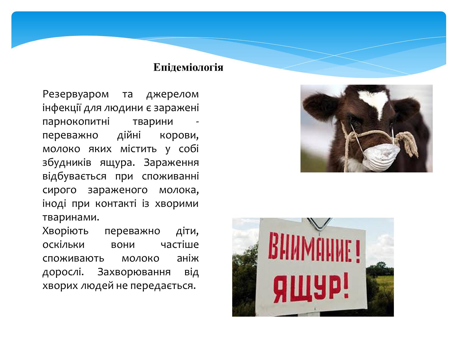 Презентація на тему «Інфекційні захворювання» (варіант 5) - Слайд #7