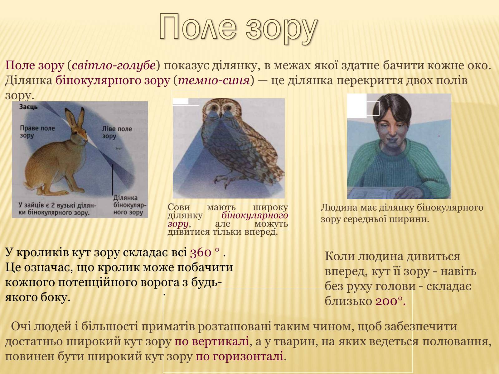 Презентація на тему «Сприйняття світу тваринами» - Слайд #16