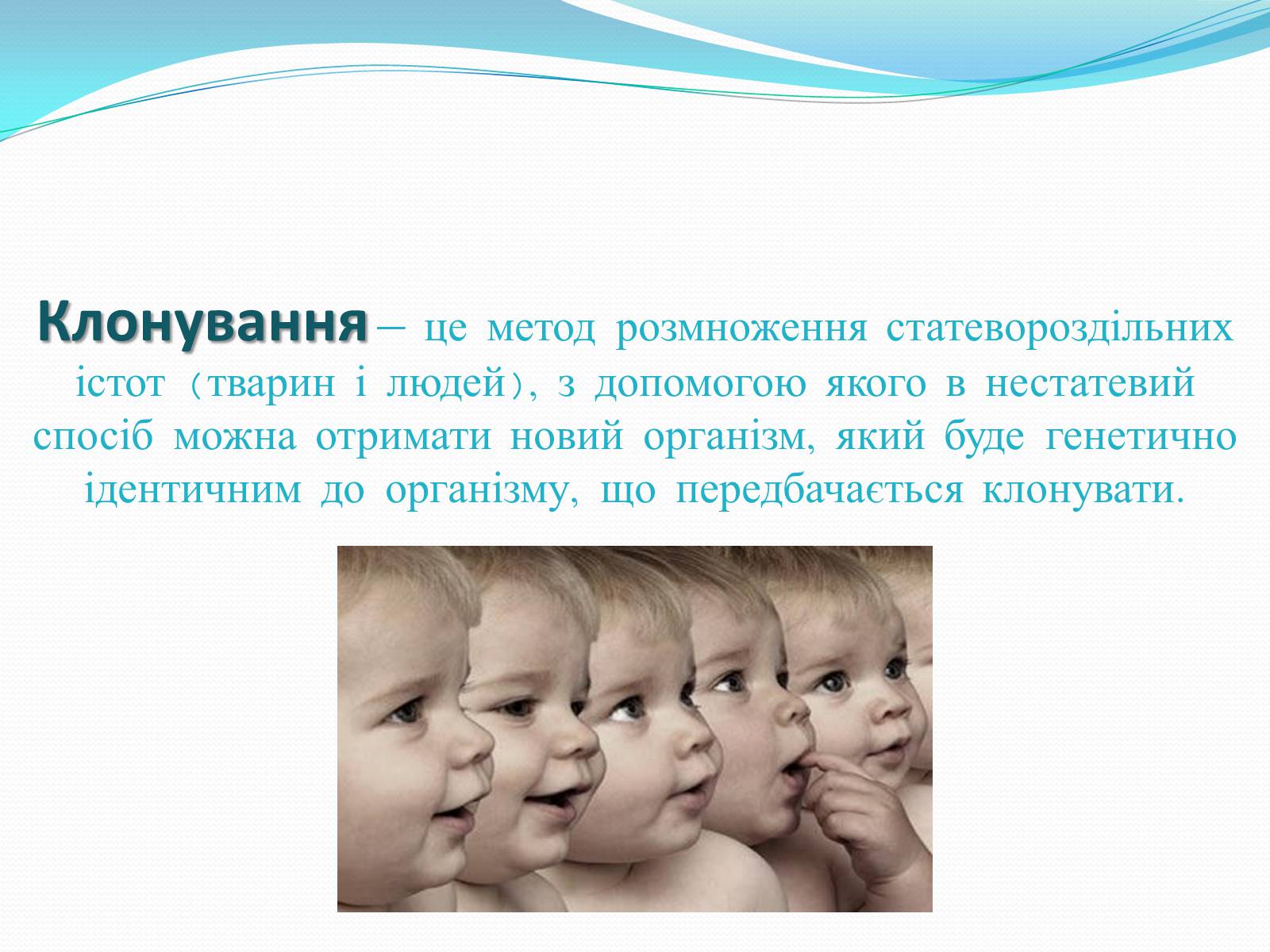 Презентація на тему «Ембріотехнології і клонування» (варіант 2) - Слайд #13