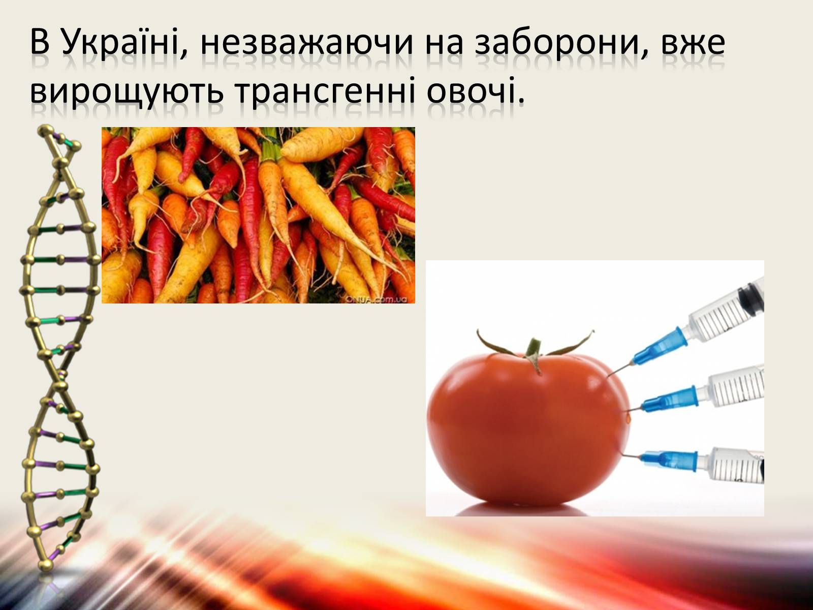 Презентація на тему «Трансгенні організми» (варіант 6) - Слайд #8