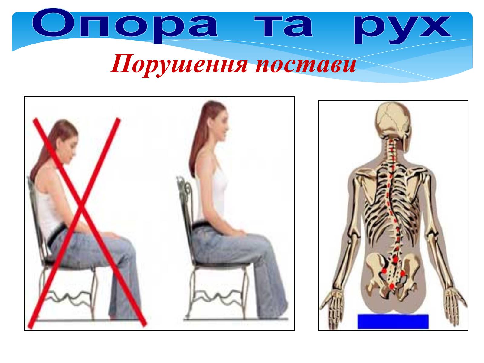 Презентація на тему «Опора і рух» - Слайд #30