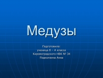 Презентація на тему «Медузи» (варіант 2)