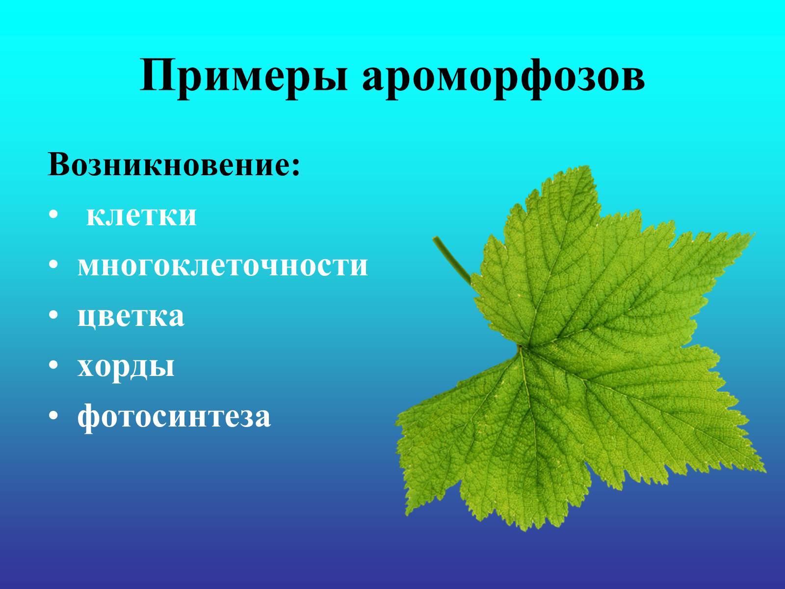 Презентація на тему «Биологический прогресс и регресс» - Слайд #13