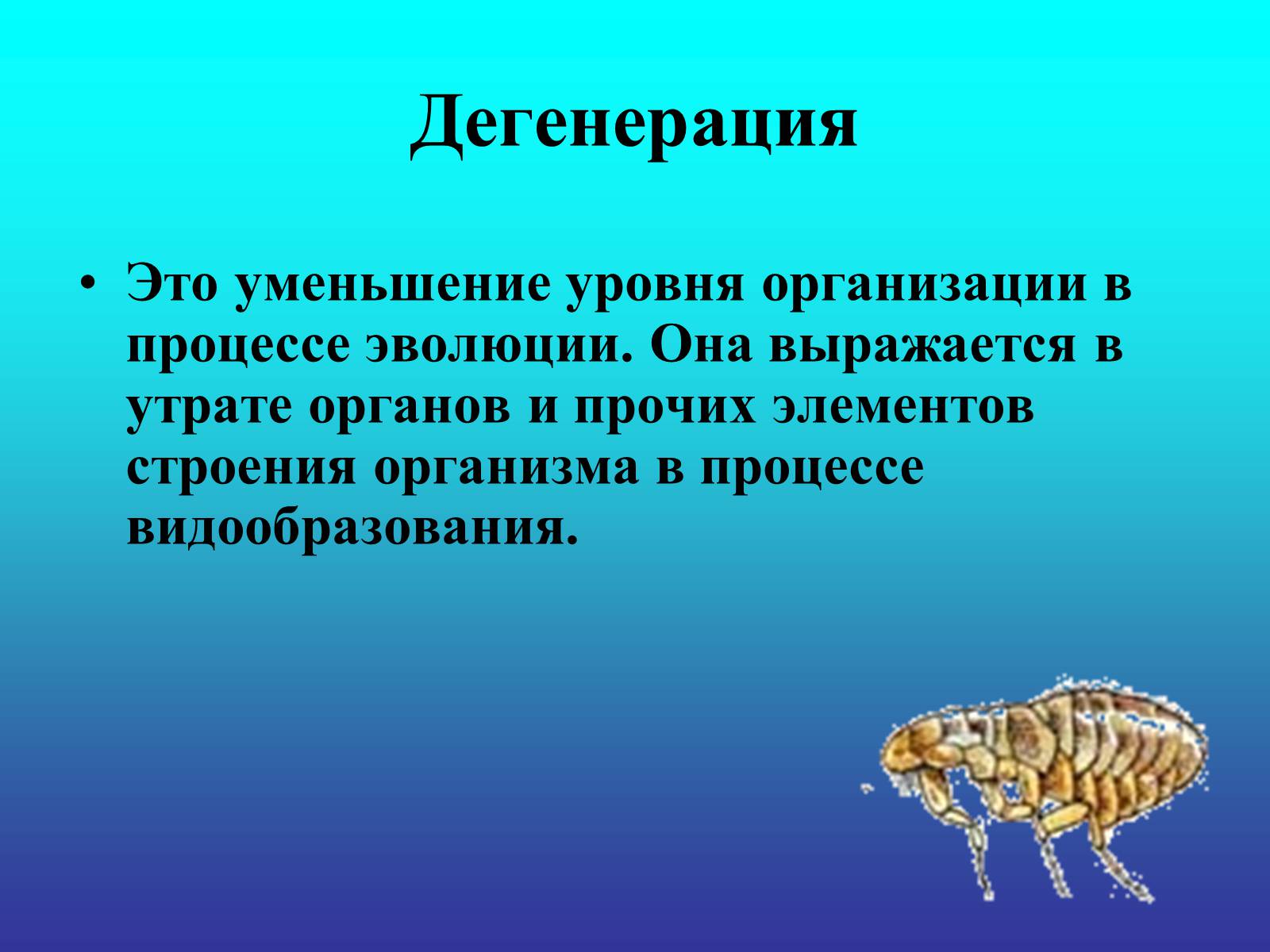 Презентація на тему «Биологический прогресс и регресс» - Слайд #17