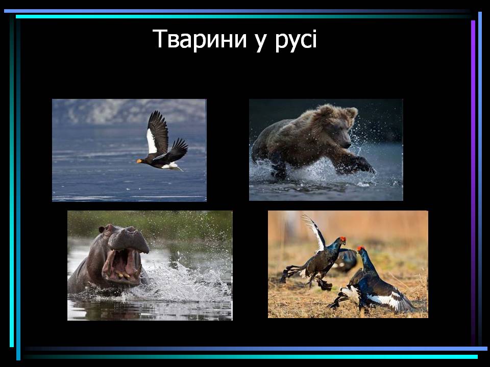 Презентація на тему «Основні процеси життєдіяльності тварин» - Слайд #19