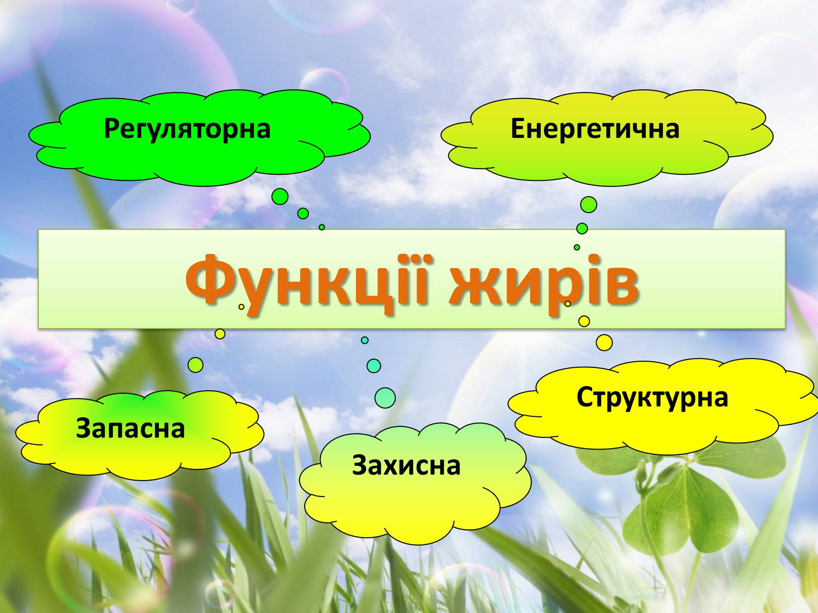 Презентація на тему «Роль жирів, білків і вуглеводів в організмі людини» - Слайд #8