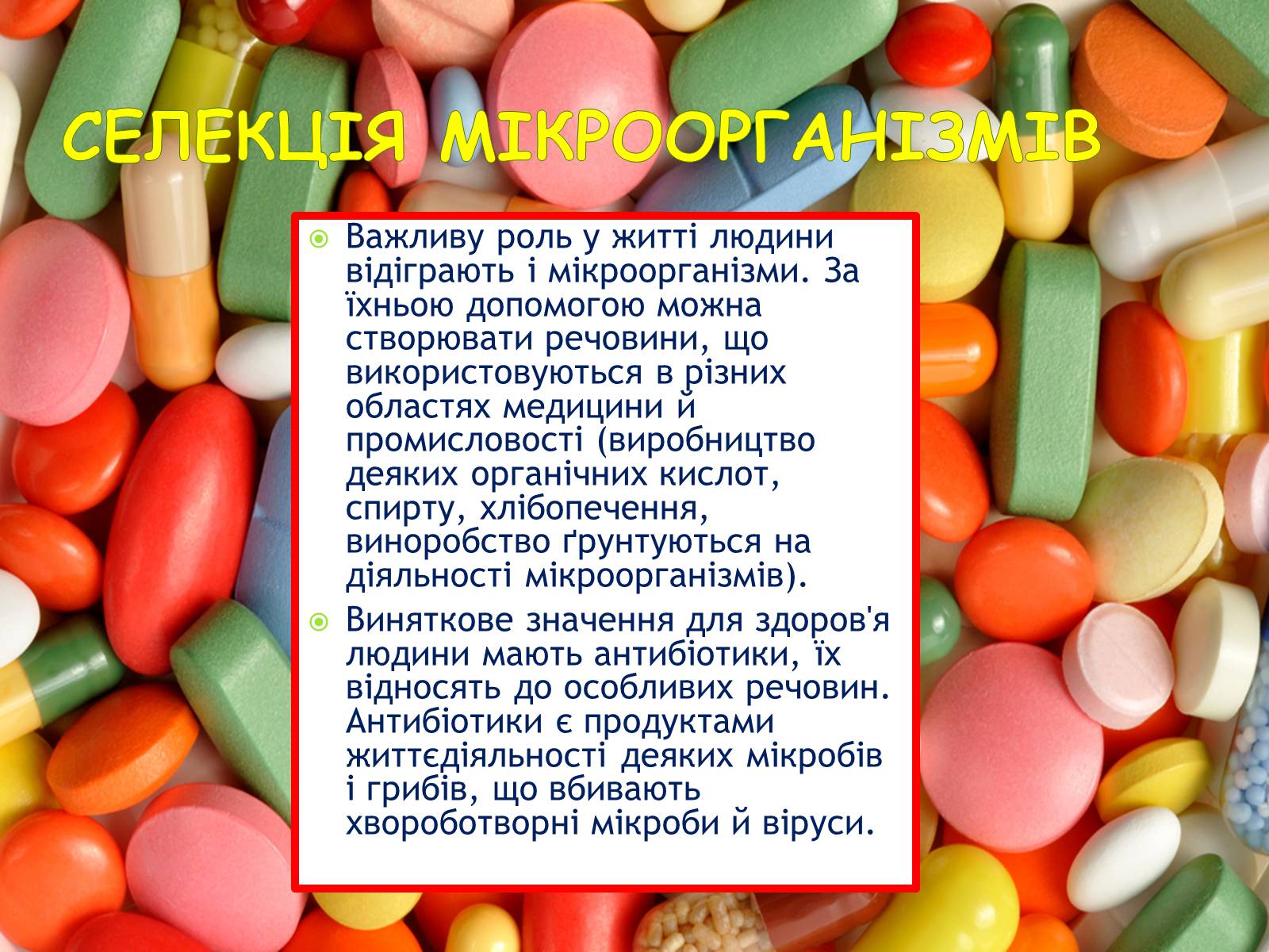 Презентація на тему «Селекція організмів» - Слайд #14