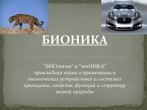 Презентація на тему «Бионика» (варіант 2)