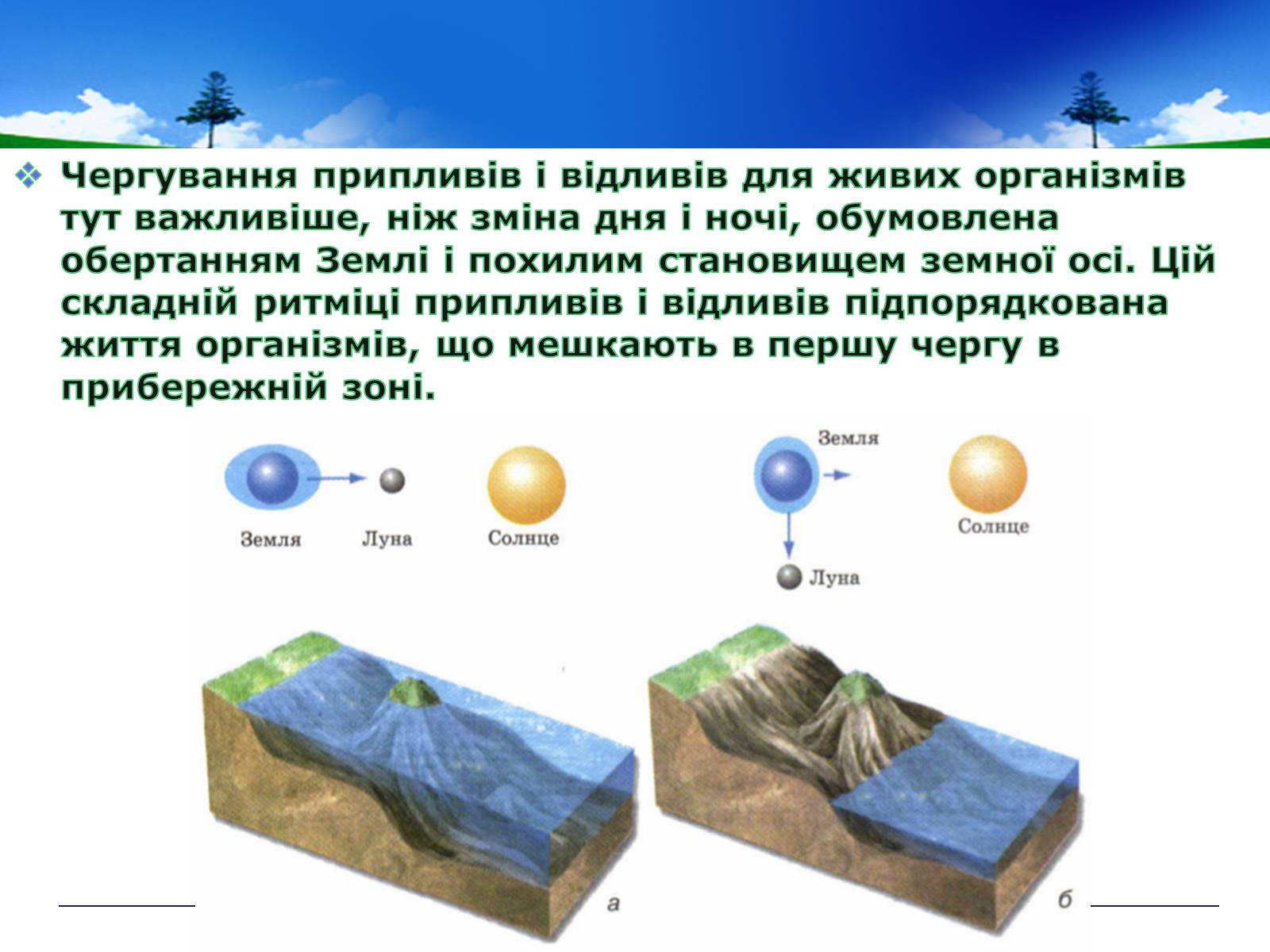 Презентація на тему «Адаптивні ритми популяцій і організмів» - Слайд #11