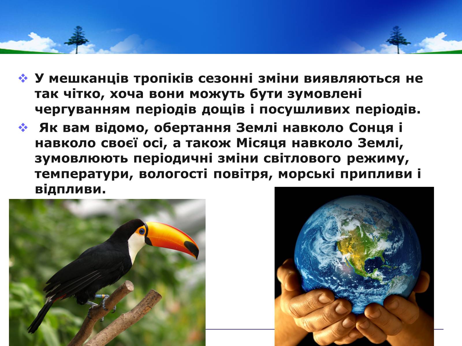 Презентація на тему «Адаптивні ритми популяцій і організмів» - Слайд #3