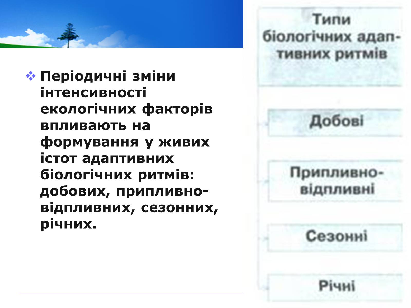 Презентація на тему «Адаптивні ритми популяцій і організмів» - Слайд #4