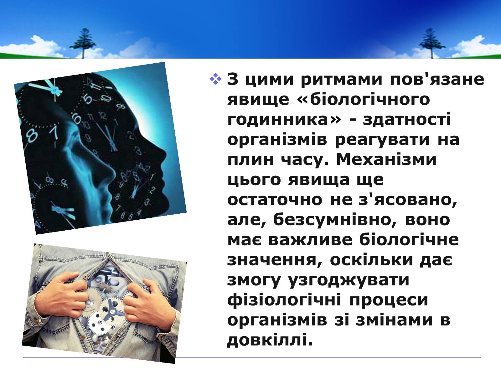 Презентація на тему «Адаптивні ритми популяцій і організмів» - Слайд #5