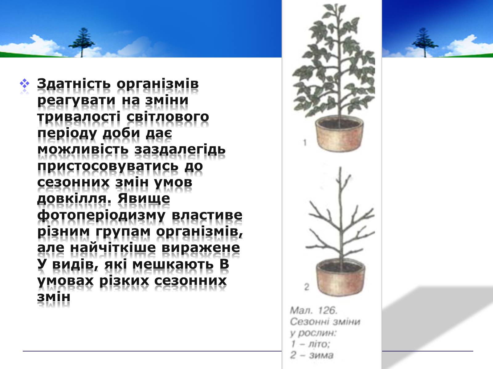 Презентація на тему «Адаптивні ритми популяцій і організмів» - Слайд #9