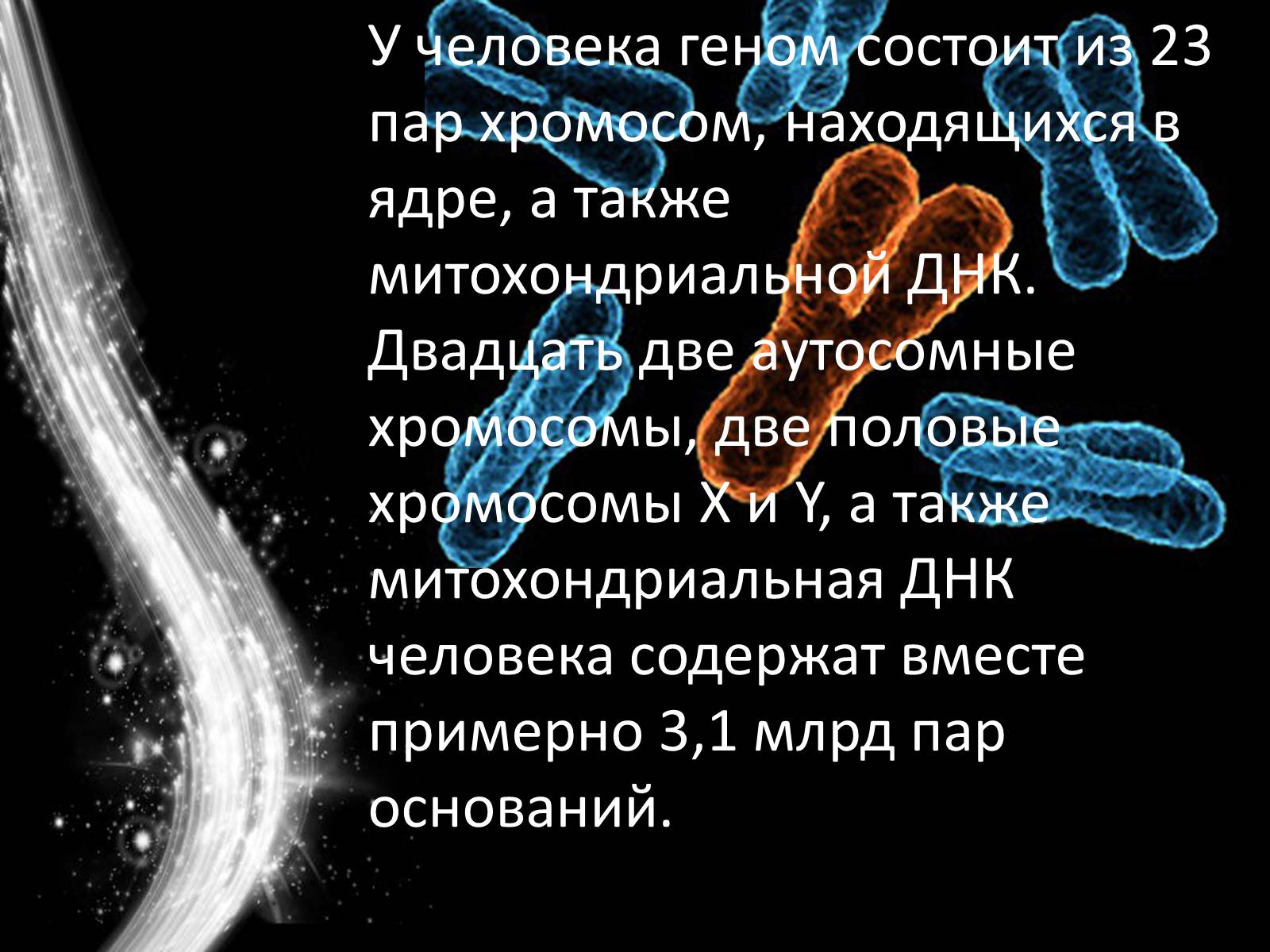 Гена находится в хромосомах. Геном человека презентация. Гены человека для презентации. Геном человека состоит из. Хромосомы и гены человека.