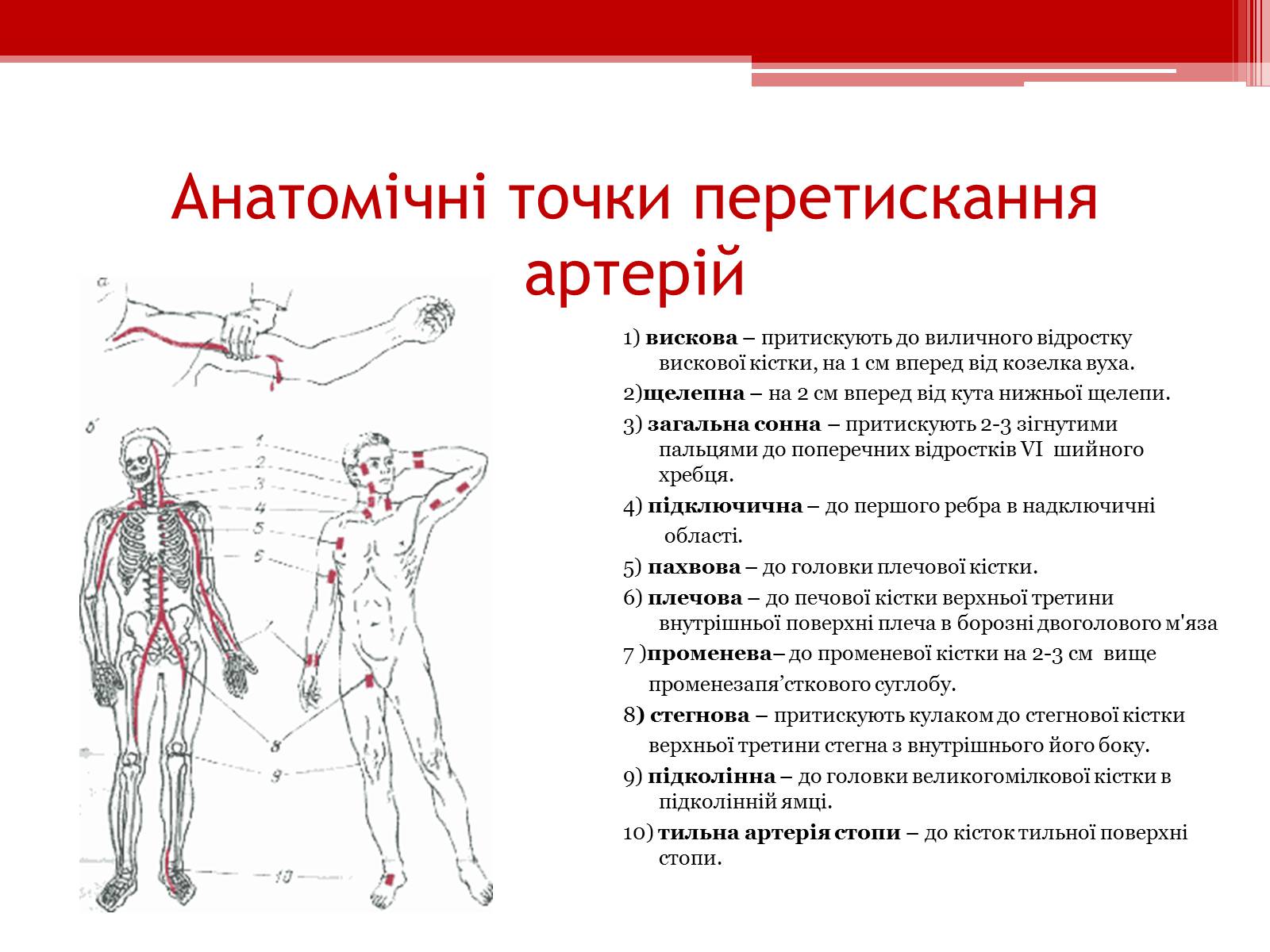 Презентація на тему «Перша допомога при кровотечах» (варіант 1) - Слайд #11