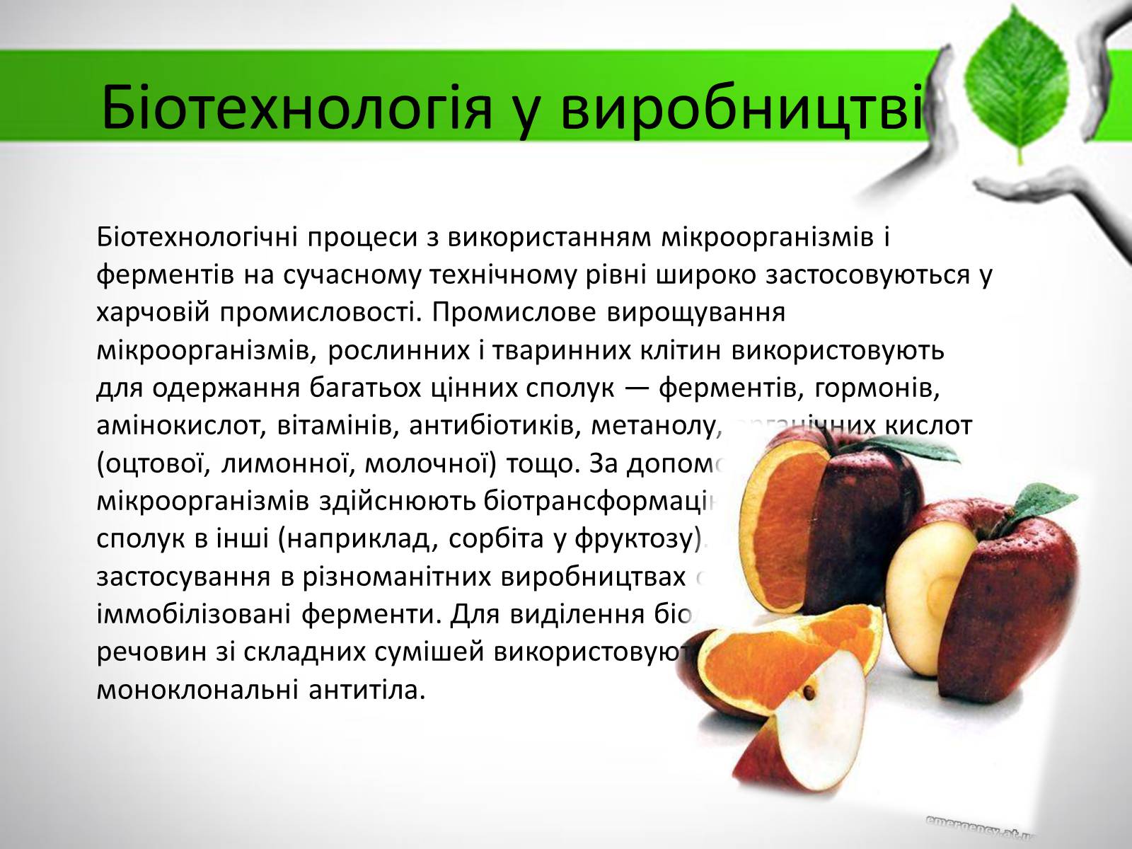 Презентація на тему «Біотехнологія» (варіант 3) - Слайд #10