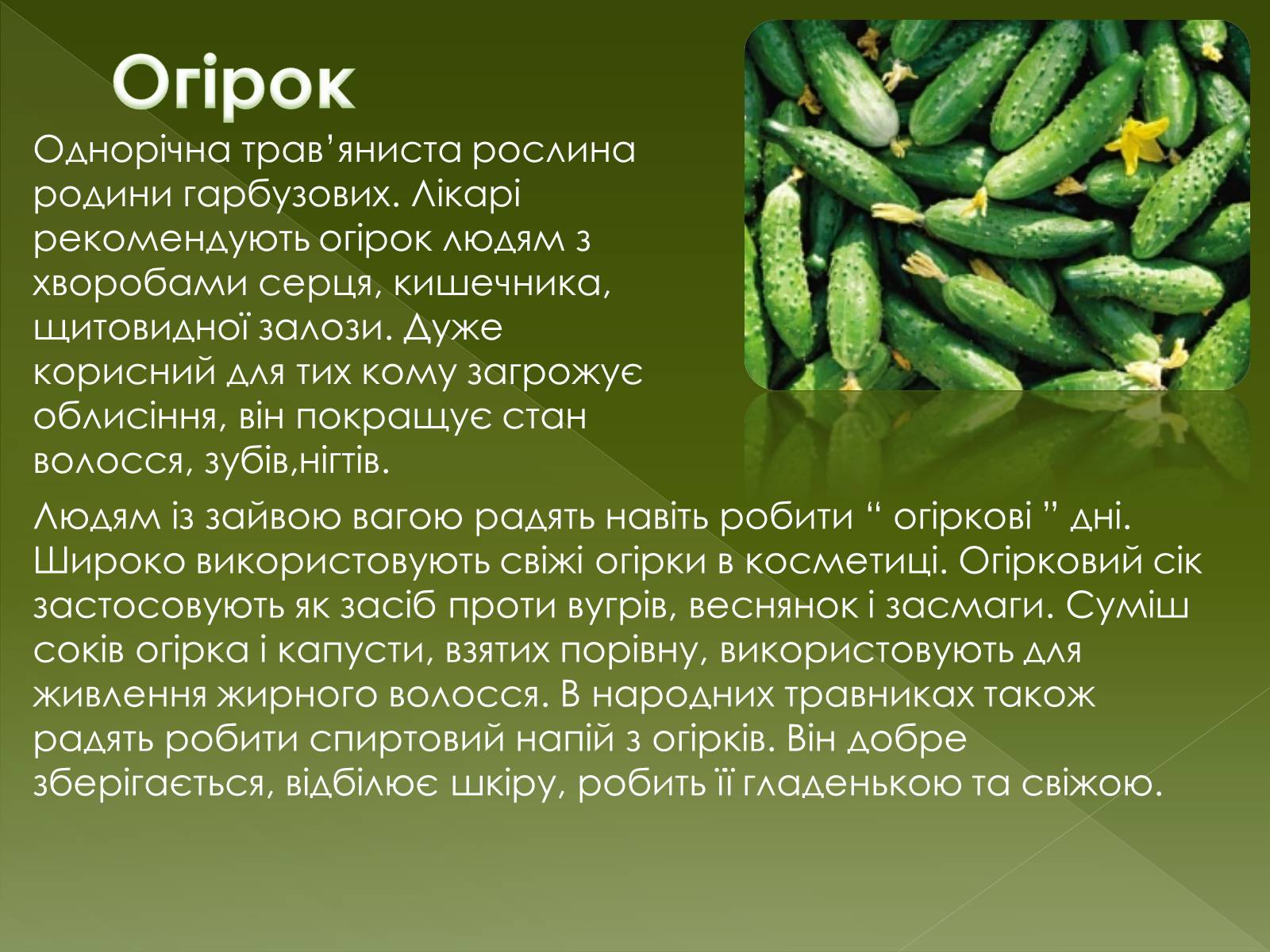 Презентація на тему «Овочеві культури – як лікарські препарати» - Слайд #13