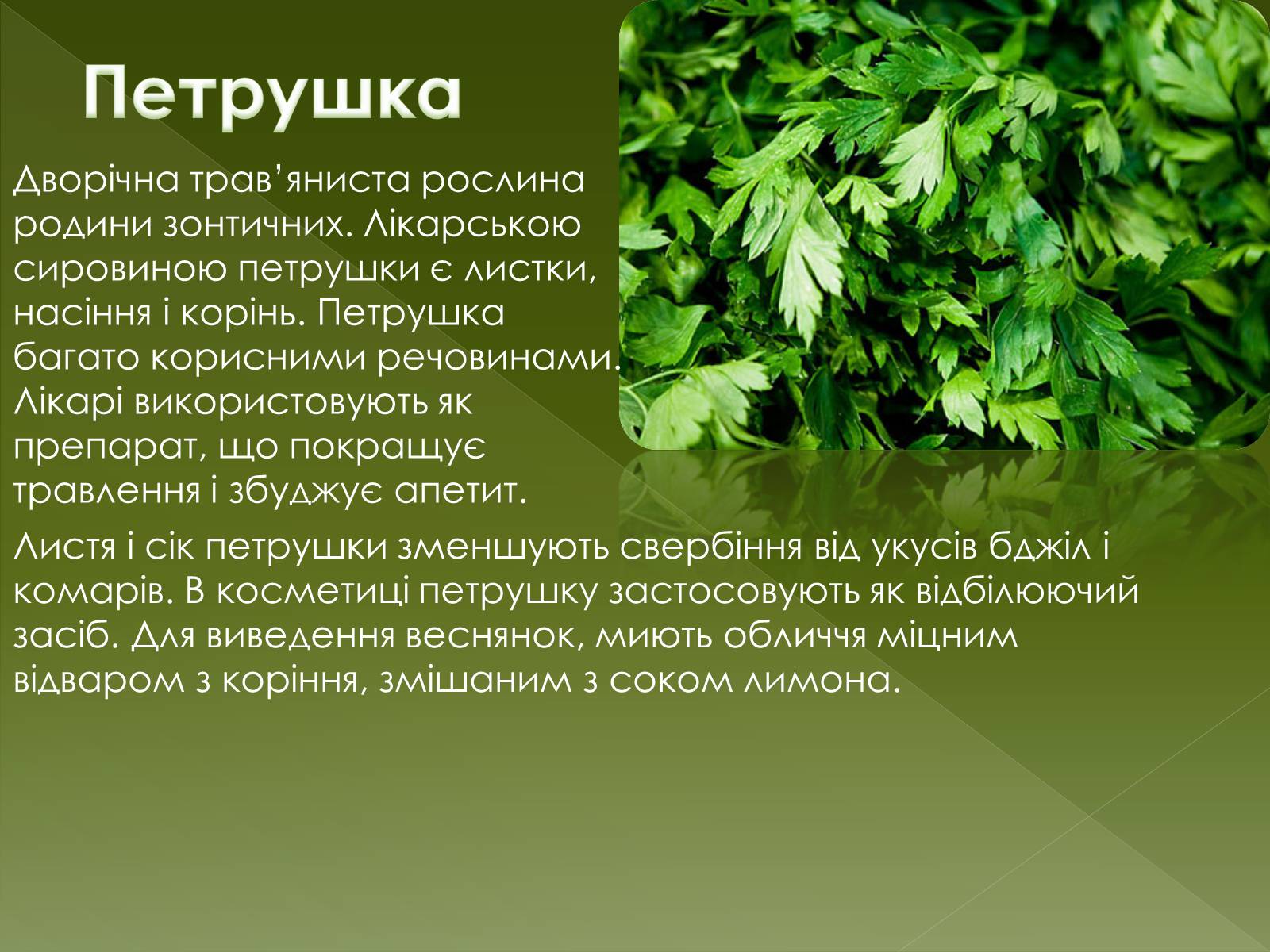 Презентація на тему «Овочеві культури – як лікарські препарати» - Слайд #14